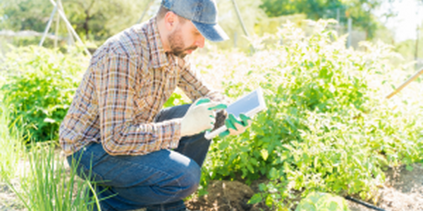 man in field with computer